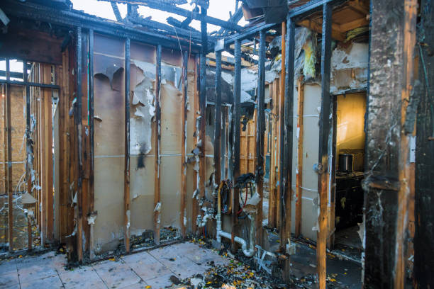 Professional Odor Removal technician working in Clifton, TX