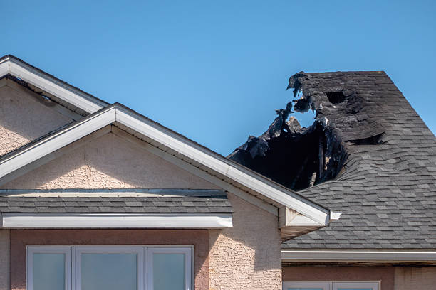 Top rated local Odor Removal specialists in Clifton, TX